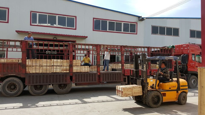 山西客户手拉葫芦装车图